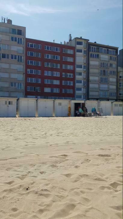 2 Slaapkamer Appartement Op De Zeedijk Van Oostende. 외부 사진